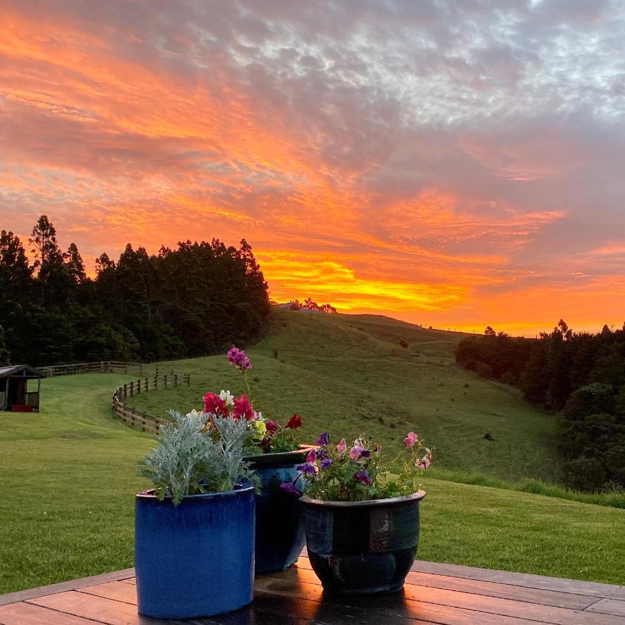Kauri Glen Bnb Te Arai Eksteriør billede