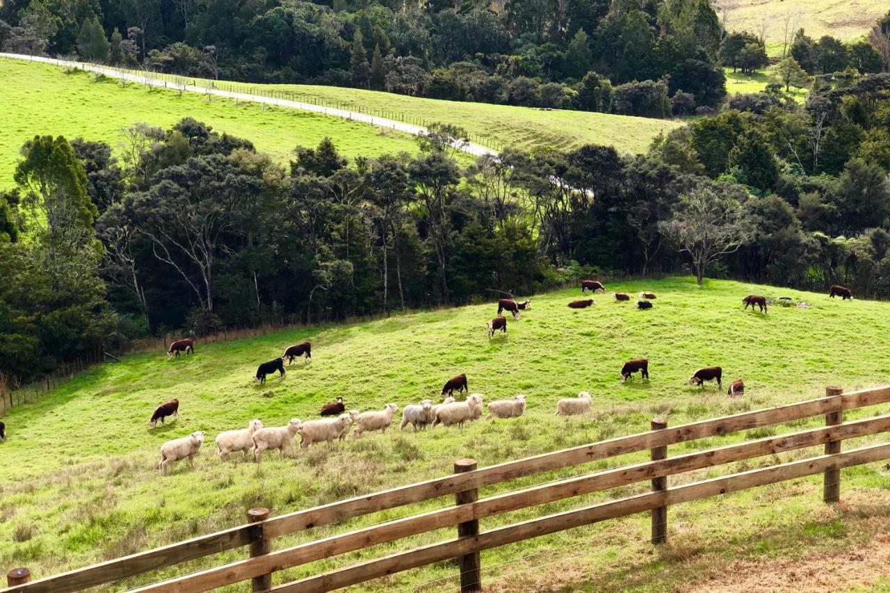 Kauri Glen Bnb Te Arai Eksteriør billede