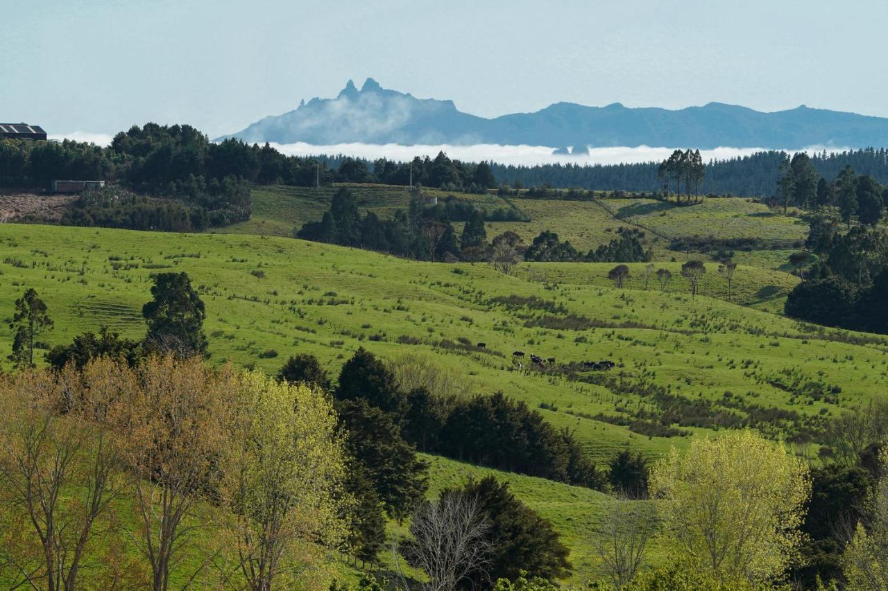 Kauri Glen Bnb Te Arai Eksteriør billede